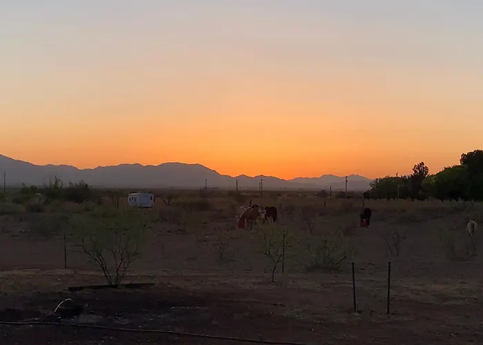 Casa vacanze Deer Haven Hideaway